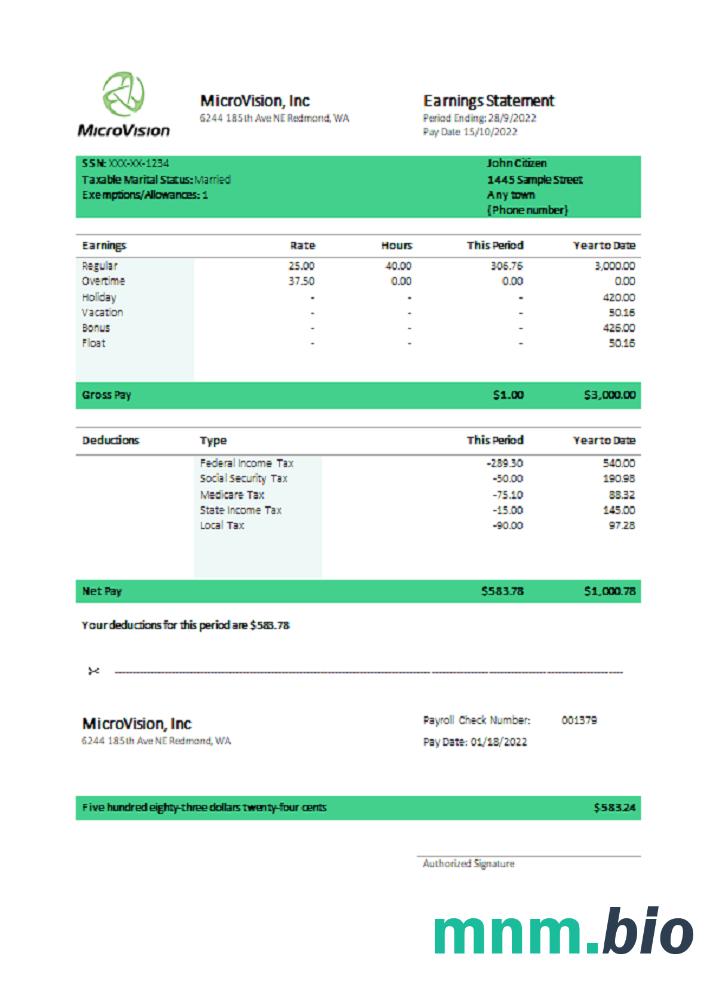 USA MicroVision informational company pay stub